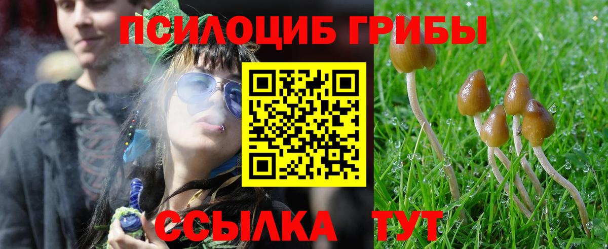 Галлюциногенные грибы Psilocybine cubensis  Псилоцибиновые грибы ЛСД  Ртищево  Вход с VPN 